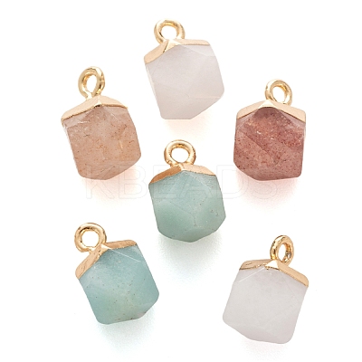 6Pcs 3 Style Electroplate Natural Gemstone Charms G-FS0001-39-1