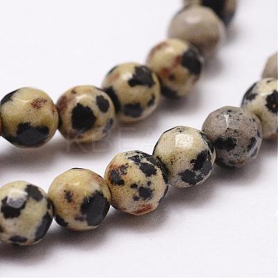 Natural Dalmatian Jasper Beads Strands G-D840-49-4mm-1