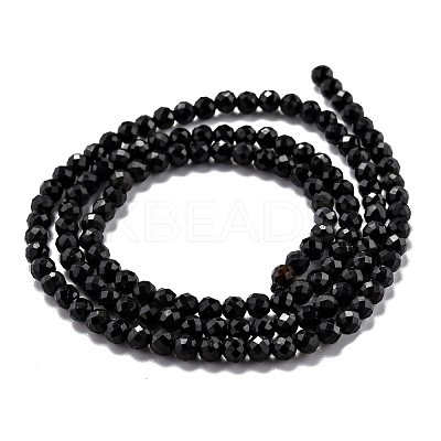 Natural Black Tourmaline Beads Strands G-H266-11A-1