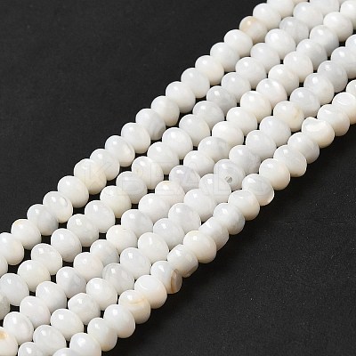 Natural Freshwater Shell Beads Strands BSHE-E026-15A-02-1