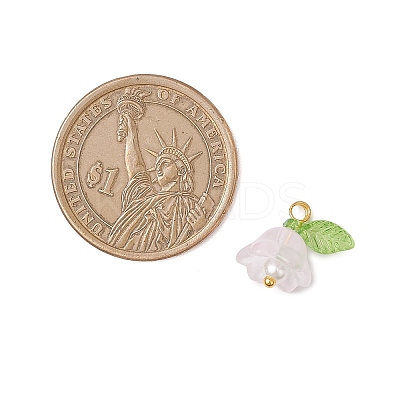 Glass Charms PALLOY-MZ00838-04-1