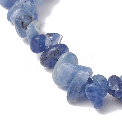 Natural Kyanite Stretch Bracelets BJEW-JB11147-07-1