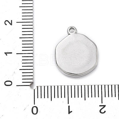 304 Stainless Steel Pendants STAS-K291-12P-02-1