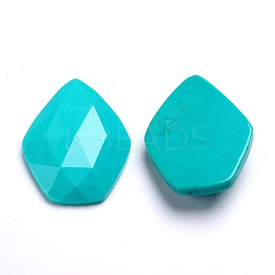 Dyed Faceted Natural Howlite Cabochons G-D763-02-1