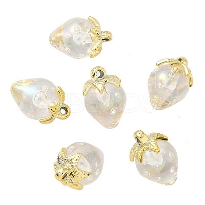 Transparent Acrylic Pendants LS-OACR-I021-02C-1