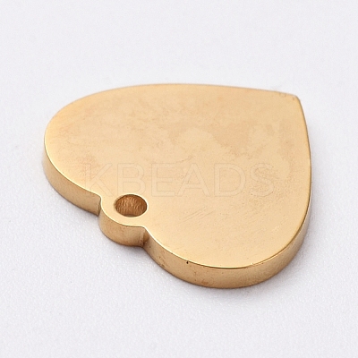 PVD Vacuum Plating 304 Stainless Steel Stamping Blank Tag Charms STAS-G215-12-G02-1