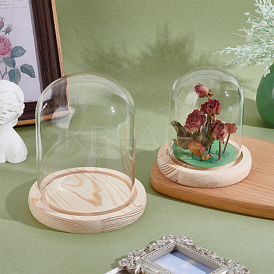 2Pcs 2 Styles Glass Dome Cover AJEW-NB0007-93-1