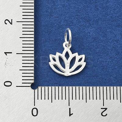 925 Sterling Silver Charms STER-M119-10S-1