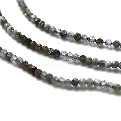 Natural Apatite Beads Strands LS-G-RM2025-A23-2mm-1