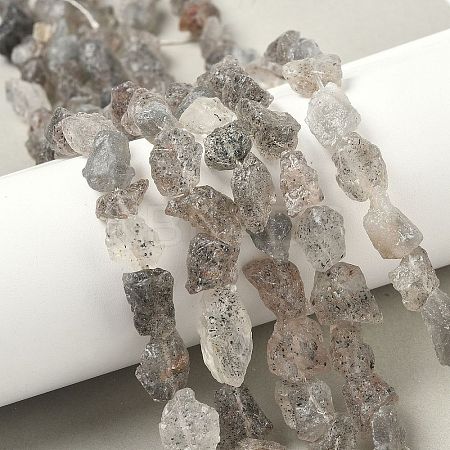 Natural Black Soya Bean Raw Ore Beads Strands G-M453-D08-1