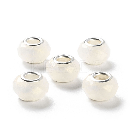 Pearlized Resin European Beads RESI-M001-01H-1