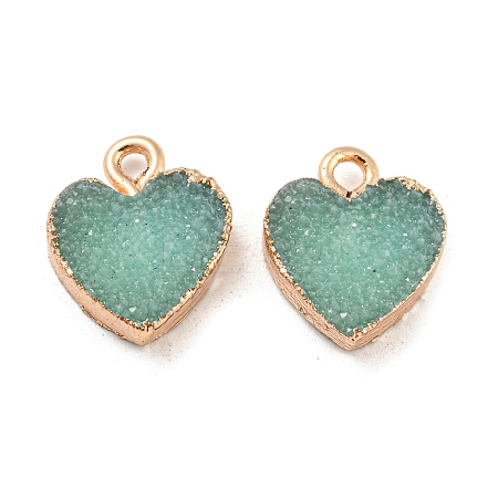 Resin with Golden Zinc Alloy Charms RESI-CJC0009-04D-1
