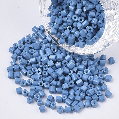 8/0 Two Cut Glass Seed Beads SEED-S033-06A-08-1