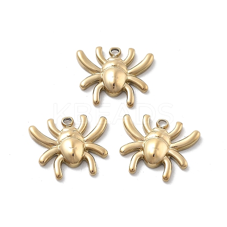 304 Stainless Steel Charms STAS-Z121-09G-1