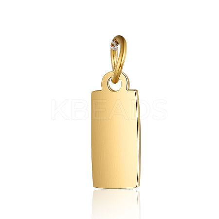 201 Stainless Steel Pendants STAS-S105-T634-2-1