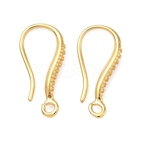 Brass Earring Hooks KK-H532-09G-1
