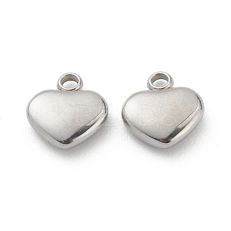 Tarnish Resistant 304 Stainless Steel Pendants LS-STAS-Z009-19P-1