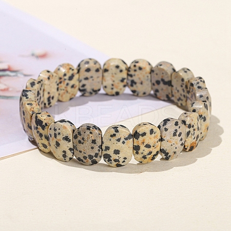 Natural Dalmatian Jasper Oval Bead Stretch Bracelets for Men Women PW-WG50701-08-1