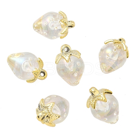 Transparent Acrylic Pendants LS-OACR-I021-02C-1