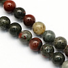 Natural African Bloodstone Beads Strands G-S184-10mm-1