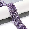 Natural Amethyst Beads Strands G-G139-B09-01-2