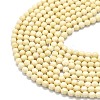 Natural Fossil Beads Strands G-A260-A35-01-3