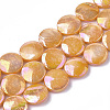Freshwater Shell Beads Strands SHEL-S274-52D-1