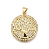 Rack Plating Brass Micro Pave Cubic Zirconia Pendants KK-K401-93G-1