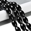 Natural Black Onyx Agate Beads Strands G-NH0019-C05-13-2