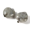 Natural Labradorite Pendants GG-CBAA0EE-04P-05-2