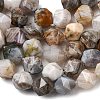 Natural Bamboo Leaf Agate Beads Strands G-Z119-A27-03-5
