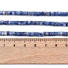 Natural Sodalite Beads Strands G-F631-A46-3