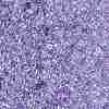 TOHO Round Seed Beads X-SEED-TR15-0477D-2