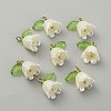 Opaque Resin Pendants LS-CRES-CJC0009-05G-01-1