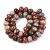 Natural Ocean Jasper Beads Strands G-T144-53A-01-2