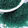 MIYUKI Round Rocailles Beads SEED-G009-RR0147-1