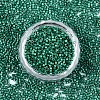 FGB 11/0 Grade A Baking Paint Glass Seed Beads X-SEED-S030-1039-3