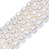 Natural Cultured Freshwater Pearl Beads Strands PEAR-N012-03G-2