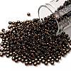 TOHO Round Seed Beads SEED-JPTR08-2205-1