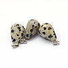 Teardrop Natural Dalmatian Jasper Pendants G-Q435-16-2