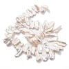 Natural Baroque Keshi Pearl Beads Strands PEAR-P064-02G-03C-3