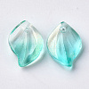 Transparent Spray Painted Glass Pendants LS-GLAA-S054-001B-04-2