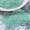 MIYUKI Delica Beads SEED-JP0008-DB1707-1