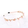 Shiny Elegant Glass Hair Bands PW-WG75179-23-1