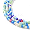 Handmade Czech Lampwork Beads Strands LAMP-L078-008M-3