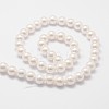 Rainbow Plated Shell Pearl Bead Strands X-BSHE-L025-02-6mm-2