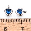 304 Stainless Steel Micro Pave Cubic Zirconia Pendants STAS-L022-396C-P-3