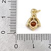 Insect Brass Micro Pave Cubic Zirconia Charms KK-Z123-10G-3