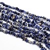 Natural Sodalite Chips Beads Strands G-O049-A-08-1