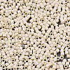 FGB 11/0 Grade A Glass Seed Beads SEED-S030-1012-2